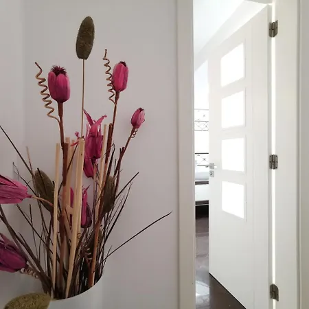 Island Costa Adeje (Tenerife)